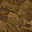 wasteland