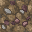 wasteland