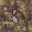 wasteland
