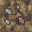 wasteland