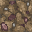 wasteland