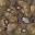 wasteland