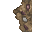 wasteland