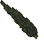tall dark cypress