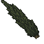 tall dark cypress
