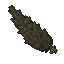 dusky cypress