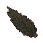 dusky cypress