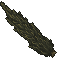 tall gloomy cypress