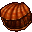 large seashell