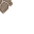 stone pebble floor