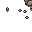 stone pavement