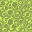 slime