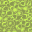 slime