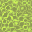 slime