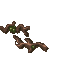 slimy growth