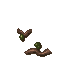 slimy growth