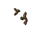 slimy growth