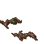 slimy growth