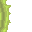 slime