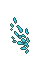coloured glooth