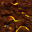 lava