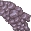 coral stone