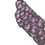 coral stone