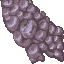 coral stone