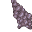 coral stone