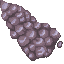 coral stone
