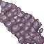 coral stone
