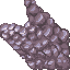 coral stone