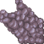 coral stone
