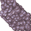 coral stone