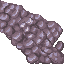 coral stone