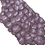 coral stone