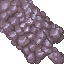 coral stone