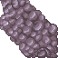 coral stone