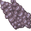 coral stone