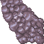 coral stone