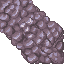 coral stone