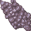coral stone