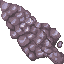 coral stone