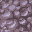 coral stone