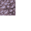 coral stone