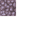 coral stone