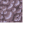 coral stone