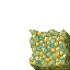 hoard of cursed gold