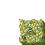 hoard of cursed gold
