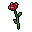 crimson rose